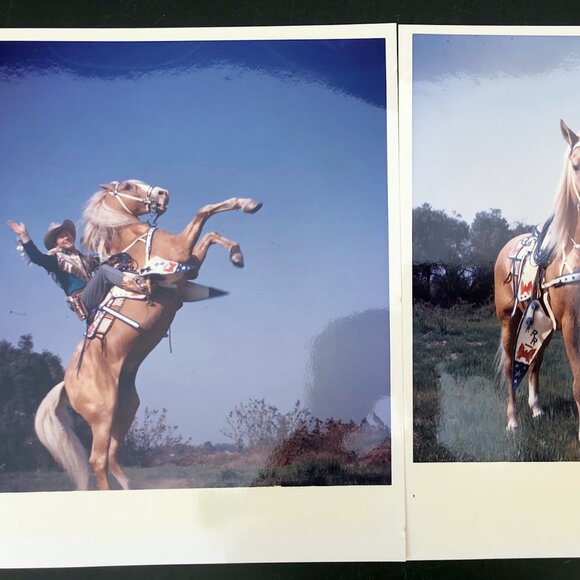 Vintage Roy Rogers and Trigger Rearing Real Photos - 8x10 Lot of 2 - Picture 1 of 6
